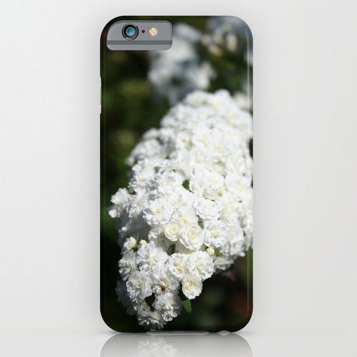 Deutzia White Spring Blossoms iPhone Case