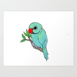 Ringneck Art Prints For Any Decor Style Society6