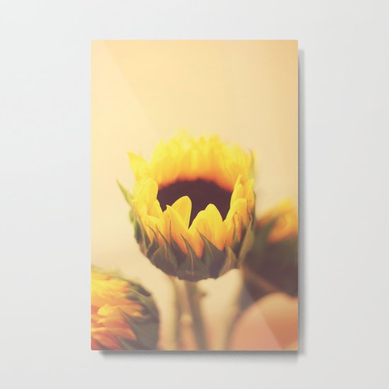 Begin Again Metal Print