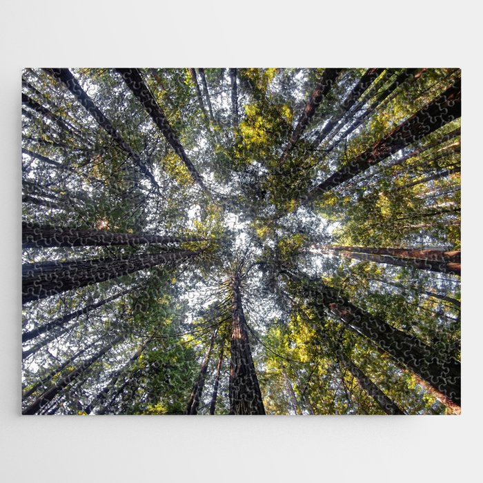 Look Up Jigsaw Puzzle