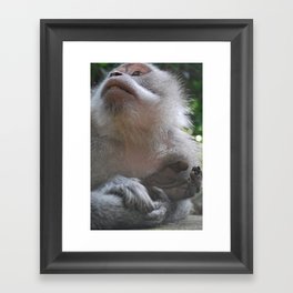 Monkey Meditation / Mandala Suci Wenara Wana Framed Art Print