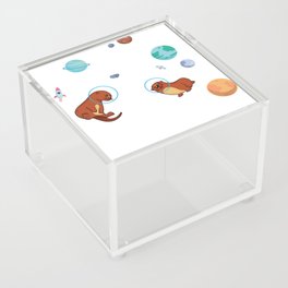 Otter Space Shirt For Space Scientists Acrylic Box