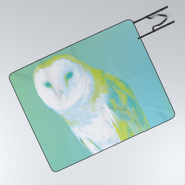 Barn Owl Remix Picnic Blanket