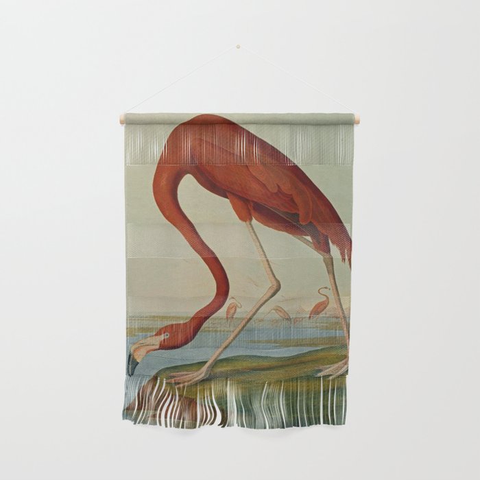 American Flamingo by John Audubon (1785 – 1851) Reproduction. Wall Hanging