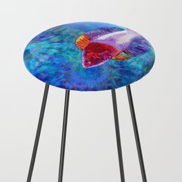 Colorful Tropical Wrasse Fish Art - Sea Fairy Counter Stool