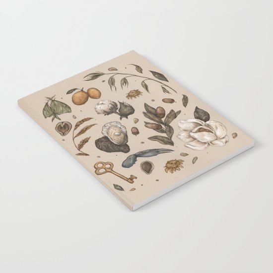 Georgia Nature Walks Notebook