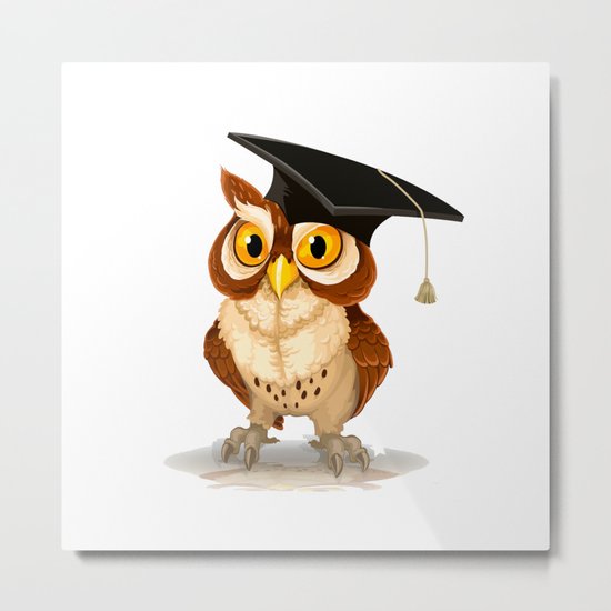 Graduated OWL Metal Print