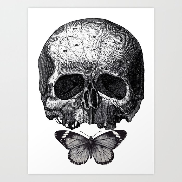 Skull and Butterfly - vintage engraving collage by Fleuriosity Art Print
