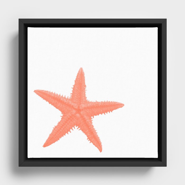 Coral Starfish Framed Canvas