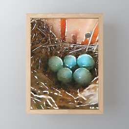Bluebird Nest Framed Mini Art Print