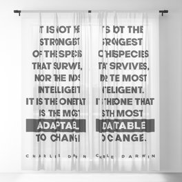 Charles Darwin Quote - Inspirational Quote - Most Adaptable to Change Sheer Curtain