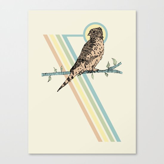 Mauritius Kestrel Falcon Canvas Print