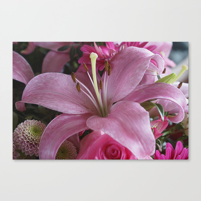 Lily Fountain Canvas Print