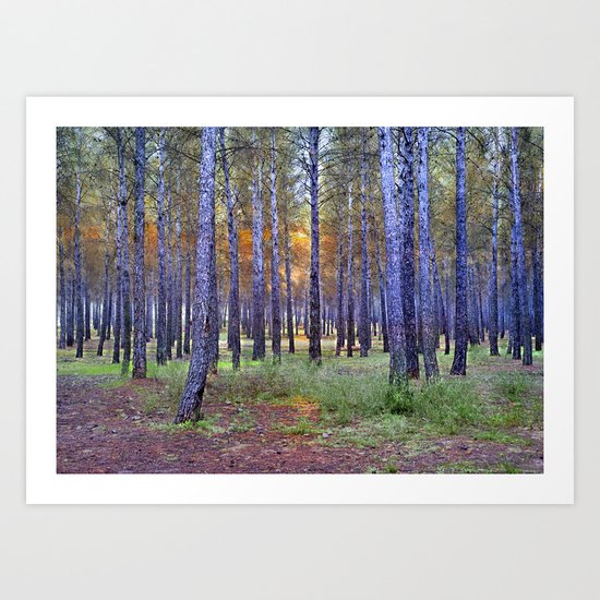 Mistery trees Art Print