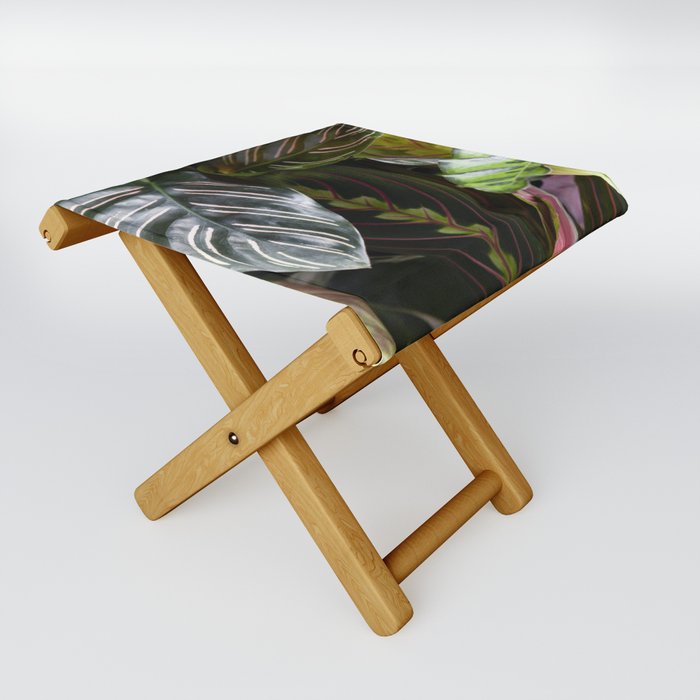 Prayer Plants V  |  The Houseplant Collection Folding Stool