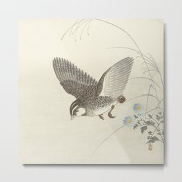 Flying quail - Ohara Koson (1900-1930) Metal Print