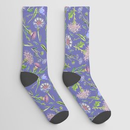 Cornflower, Thistle and Veri Peri Meadow floral pattern   Socks