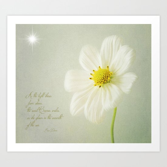 Cosmos Art Print