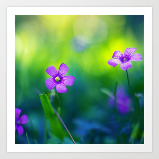 Springtime Art Print