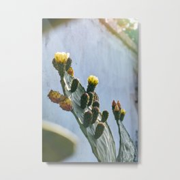 You can flower anywhere you are Metal Print