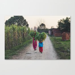 Indian women carrying grass Canvas Print