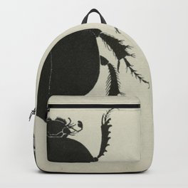 Antiquarian Beetles Backpack