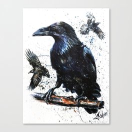 Raven Canvas Print