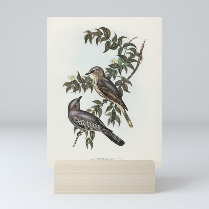 Mini Art Print