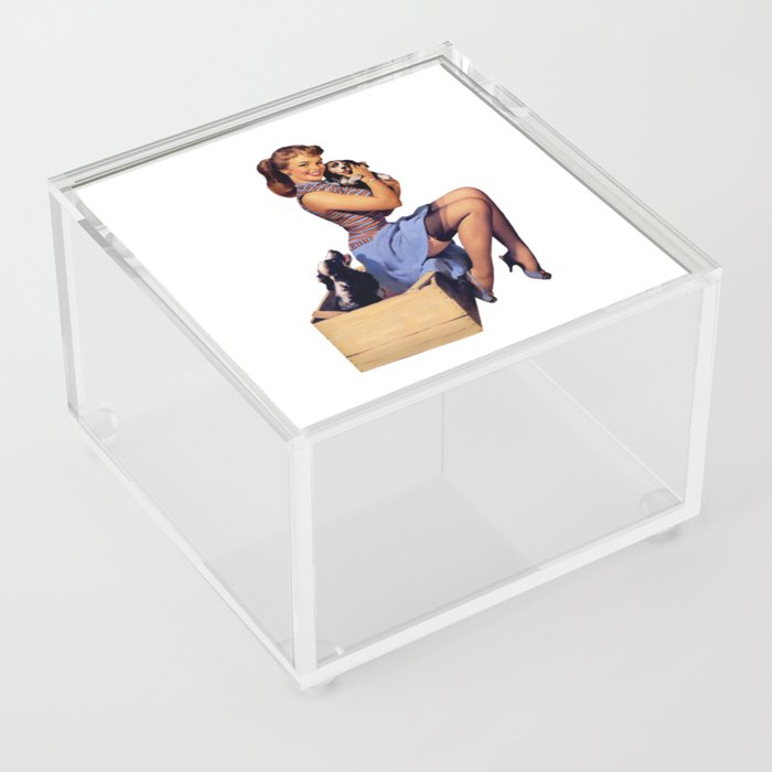Brunette Pin Up Blue Skirt And Shoes Two Dogs Puppies Acrylic Box