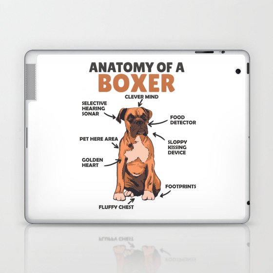 Anatomy Of A Boxer Sweet Dog Puppy Laptop & iPad Skin