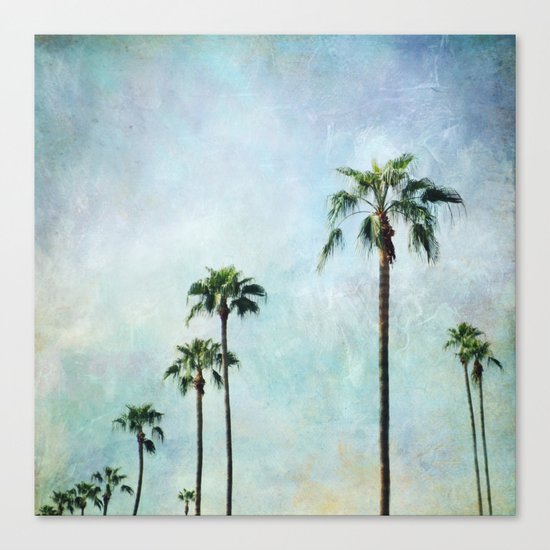 Palm trees Canvas Print