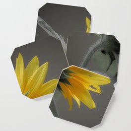 Sunflowers & Lady Bugs Coaster