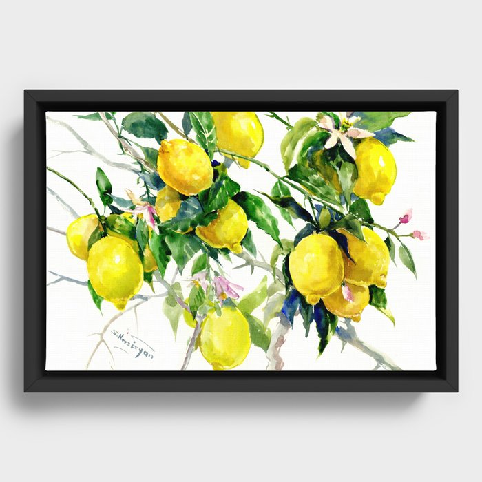 Framed Canvas