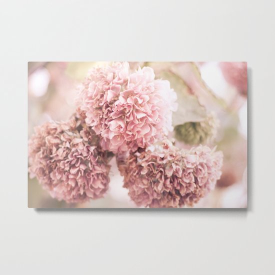 dusty pink Metal Print