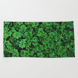 Parsley leaves | Fresh aromatic herbs pattern | Staple of Italian cuisine Beach Towel