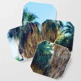 Coachella Palms Coaster