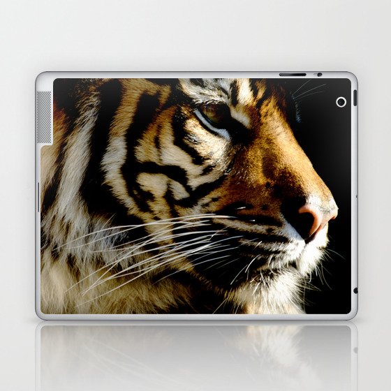 Close-up of Sumatran tiger on a black background Laptop & iPad Skin