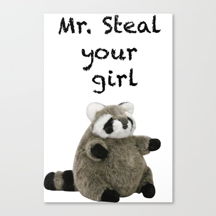 Stealthy Raccoon Canvas Print