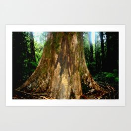 Mountain Ash Tree Art Print | Landscape, Photo, Nature 