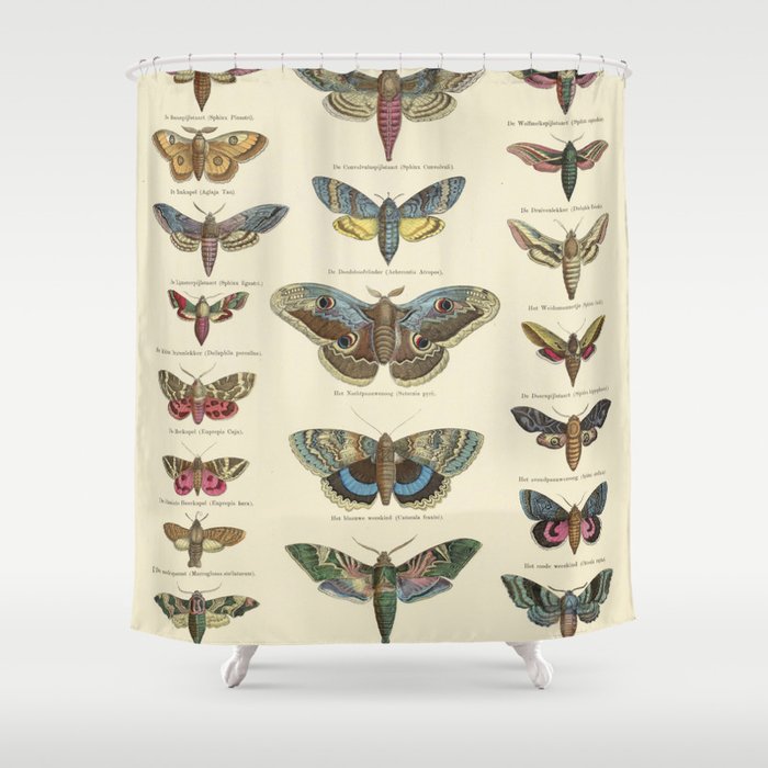 Moths - Ernst Fröhlich, 1843 - c. 1920 Shower Curtain