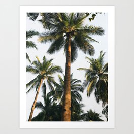palm trees v Art Print