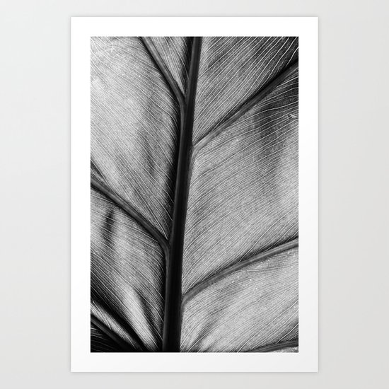 silver leaf Art Print