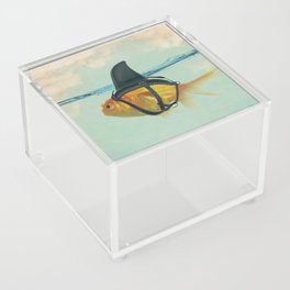 Brilliant DISGUISE - Goldfish with a Shark Fin Acrylic Box