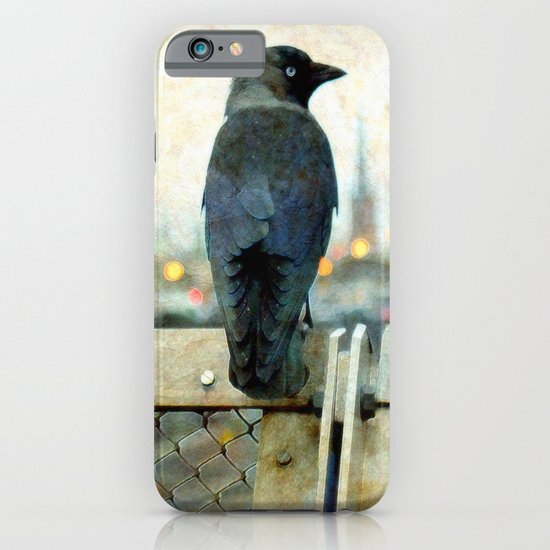City bird iPhone & iPod Case
