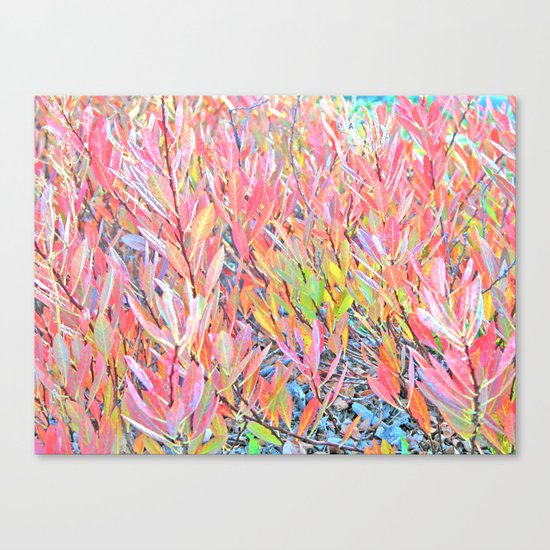 Autumn Pastels Canvas Print