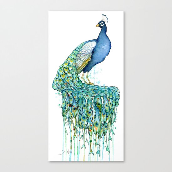 Peacock Canvas Print