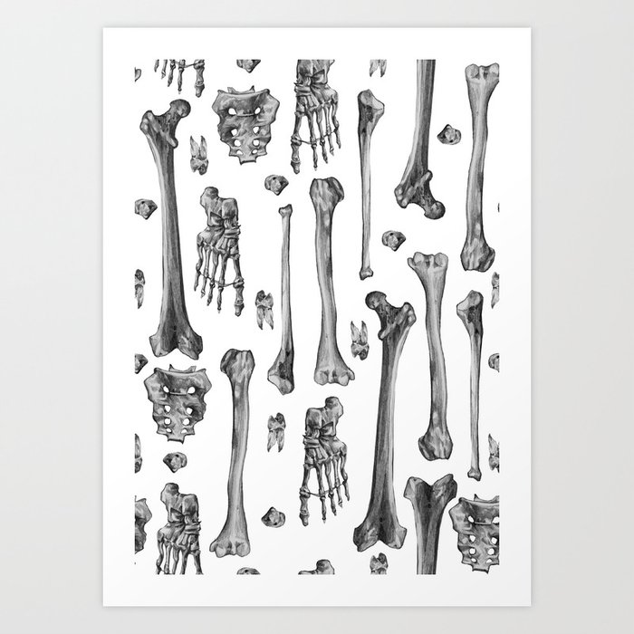 Bones Art Print