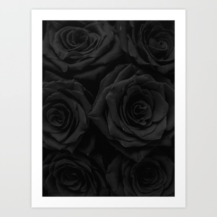 Coal Roses Art Print