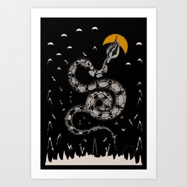 The Snake and the sun  | Boa Constrictor  Art Print