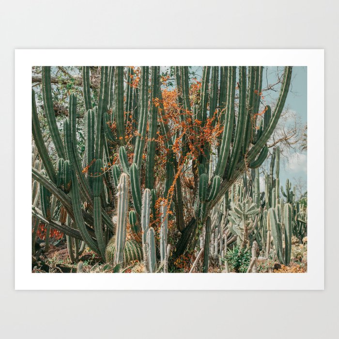 Desert Garden - Boho Nature, Landscape Photography Art Print